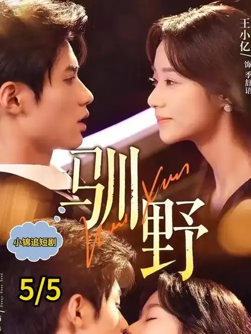 旧书店的深夜客人 动画海报